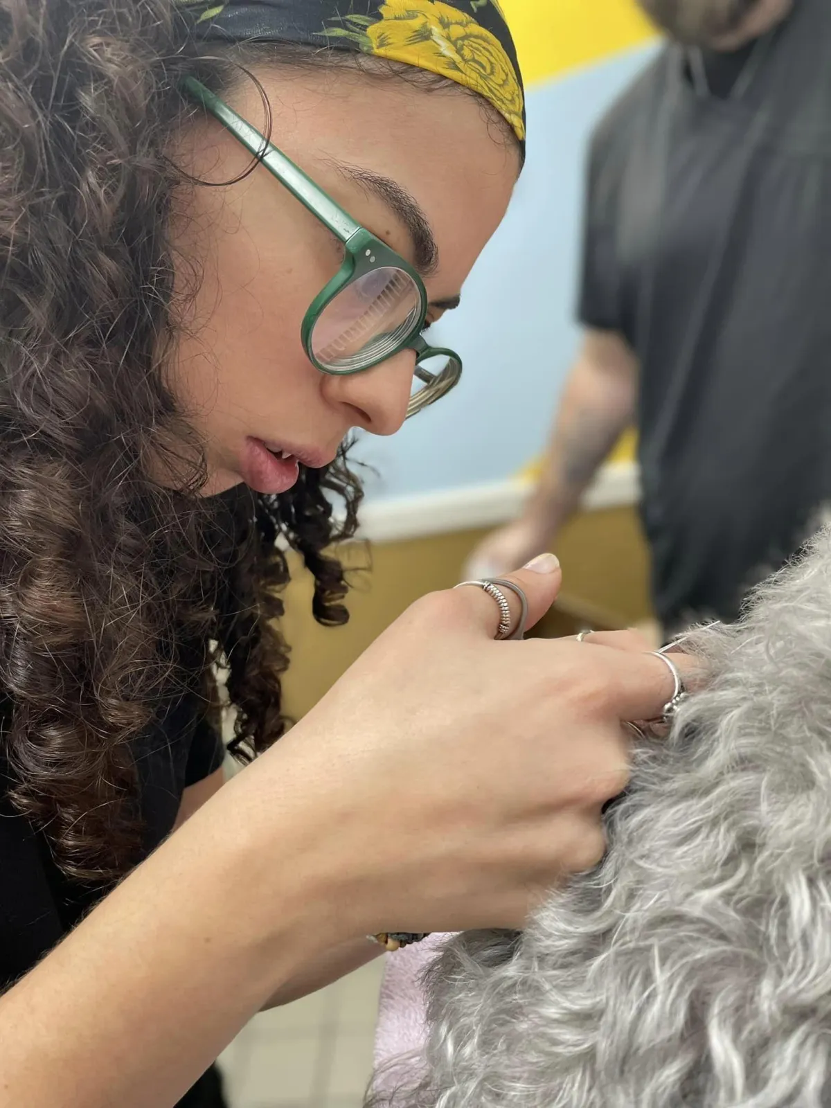 Caring veterinarian providing detailed pet care