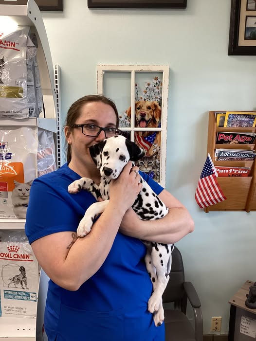 Team member caring for Dalmatian puppy