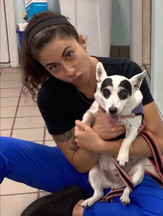 Caring veterinary technician with patient